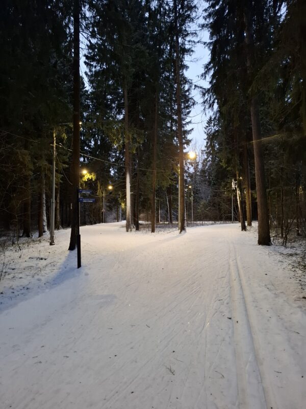 Трасса лыжероллерная Зеленоград Савелки, состояние на 22 декабря 2025 по отзыву, фото 5. 